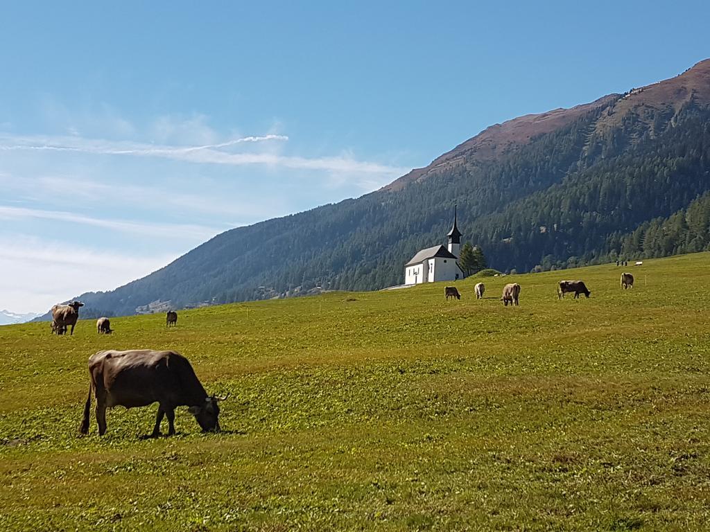 Chalet Daheim Reckingen Esterno foto